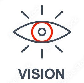 Vision Icon